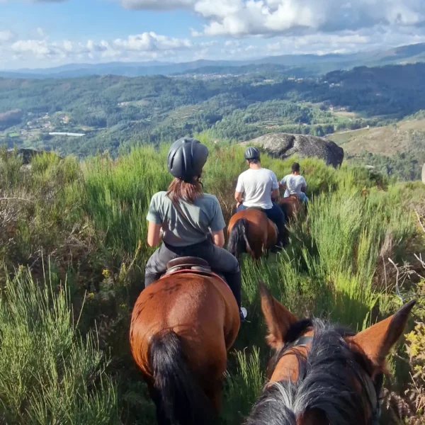 Passeios a Cavalo