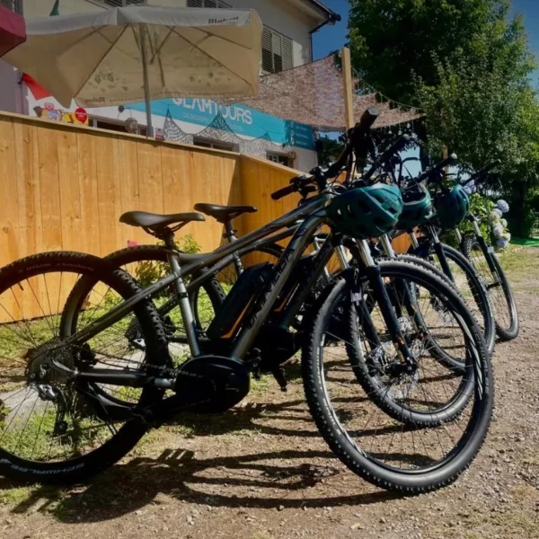 Bicicletas elétricas