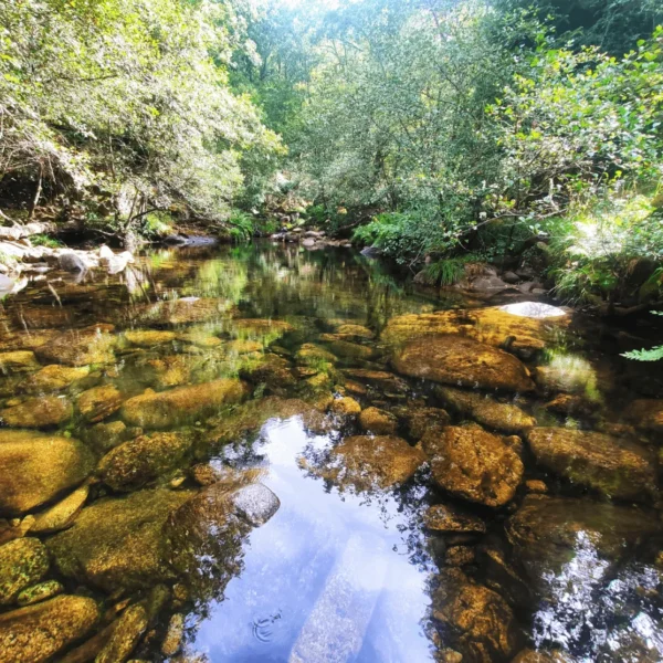 caminhadas glam tours (11) (1) (1)