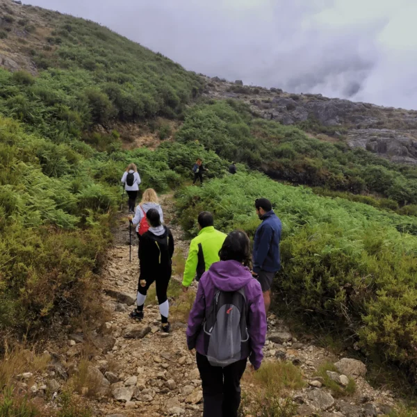 caminhadas glam tours (5) (1)