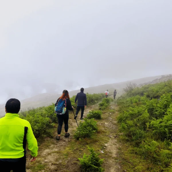 caminhadas glam tours (6) (1)