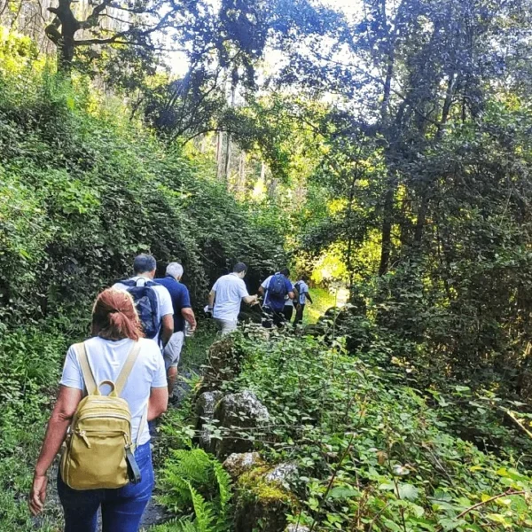 caminhadas glam tours (9) (1)