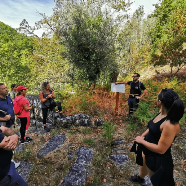 trekkings glam tours (1)