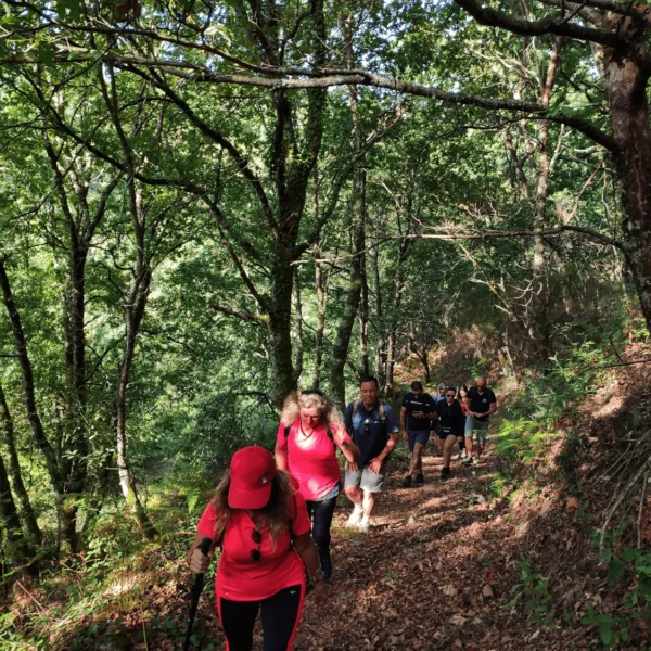 trekkings glam tours (2)