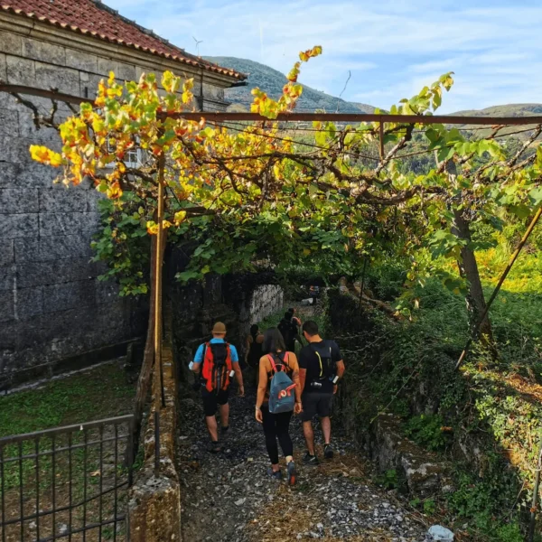 trekkings glam tours (3)