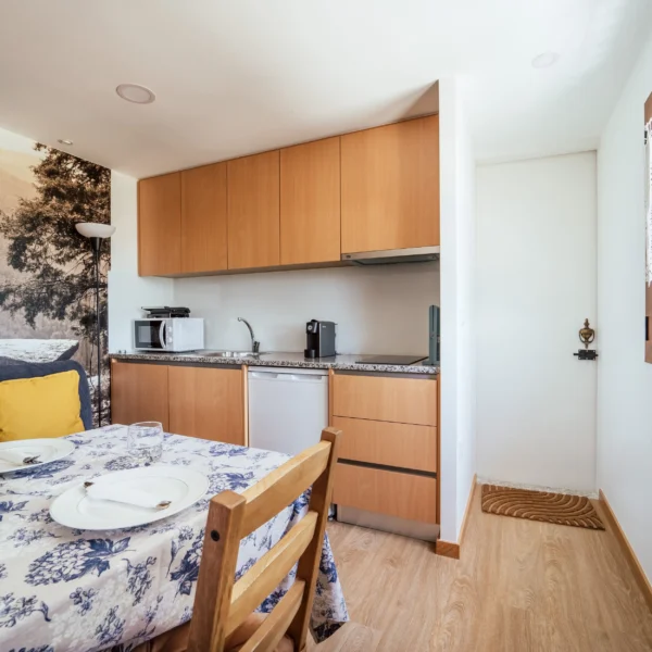 Quinta dos Novos Canastros – T0 (2)